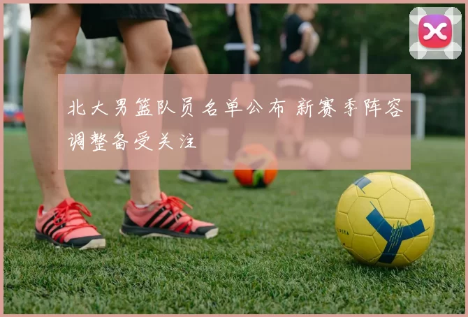 北大男篮队员名单公布 新赛季阵容调整备受关注