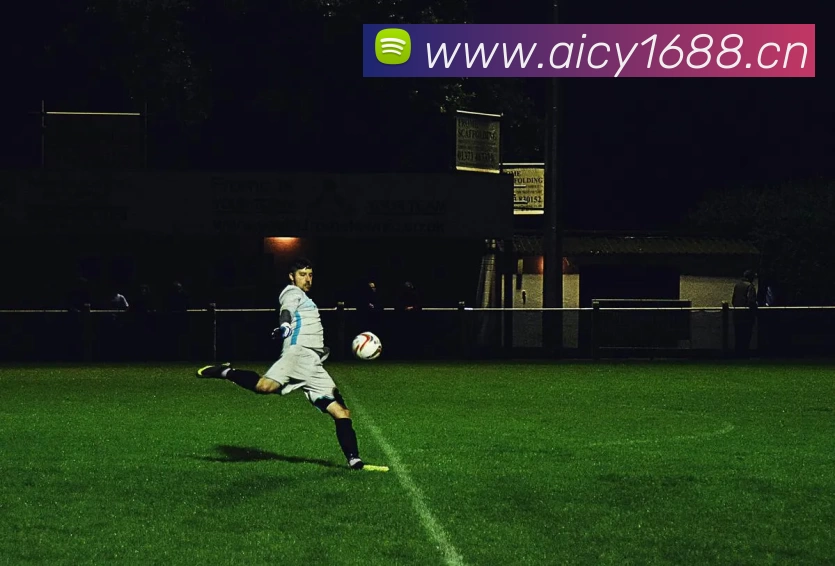 九游官方网站 - 九游jiuyou(中国)服务体系